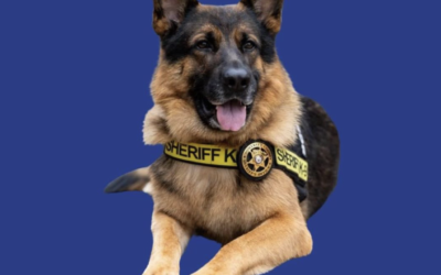 K-9 Sgt. Lanzer Appreciates the Brave in Blue